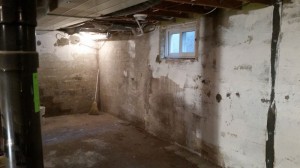 100 Year Old Basement Before